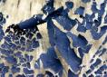 dry woad pigment on plate | woad.org.uk